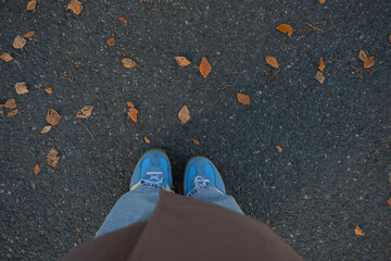 Naklejka premium a person standing on asphalt by scattered brown leaves