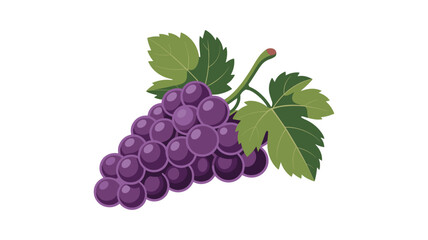 Bunch of ripe purple grapes with green leaves on white background