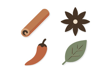 Assortment of aromatic culinary spices including cinnamon stick, star anise, chili pepper, and a fresh green leaf on a clean white background