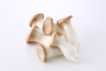 エリンギ　白バック