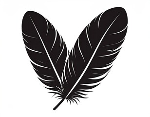 Obraz premium Two black feathers