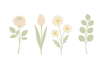 Collection of delicate watercolor style botanical elements featuring a rose, tulip, daisies, and eucalyptus branch