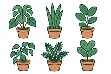 Assortment of diverse green potted houseplants including monstera, snake plant, and other foliage in terracotta pots, isolated on white