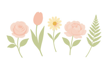 Delicate pastel watercolor style floral collection featuring rose tulip daisy peony and fern botanical elements for spring