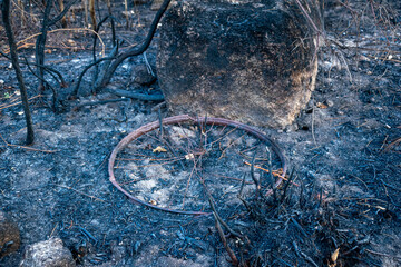 The Burned Remains of a Bicycle Wheel After a Wildfire The Concept of a Loss
