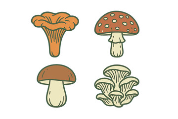 Assortment of diverse wild mushrooms including chanterelle, fly agaric, porcini, and oyster fungi with stylized design