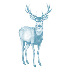 Watercolor illustration of a majestic stag with impressive antlers, standing gracefully against a white background, evoking a sense of wild nature and serene beauty