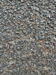 A textured stone floor surface with natural patterns