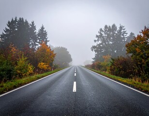 Fototapeta premium Foggy road through autumn trees in a quiet countryside setting
