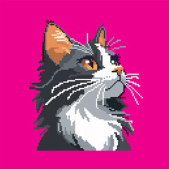 Cat pixel art, vector illustration on isolated background