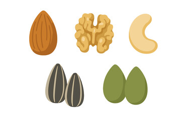 Variety of healthy nuts and seeds including almond, walnut, cashew, sunflower, and pumpkin for nutrition