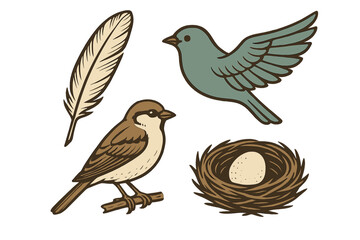 Detailed assortment of wild birds, including a flying bird and a perched sparrow, alongside a single feather and a bird's nest containing an egg