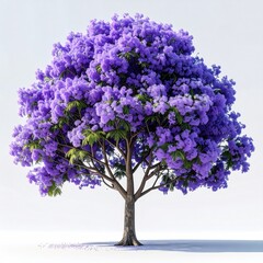 Vibrant purple tree in full bloom