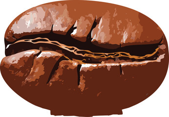 Coffee bean vector with glossy texture and groove, encouraging food appreciation and creative education
