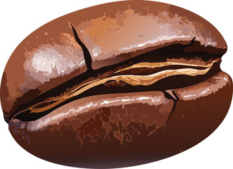 Digital illustration of roasted coffee bean with groove, promoting food awareness and visual learning
