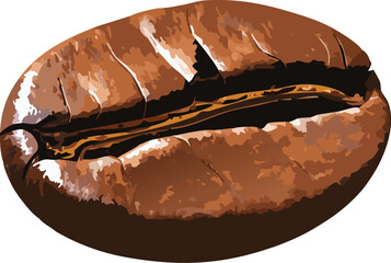 Realistic vector of coffee bean with central groove, encouraging food literacy and design exploration
