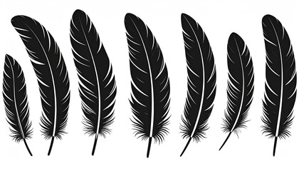 Black silhouette feathers