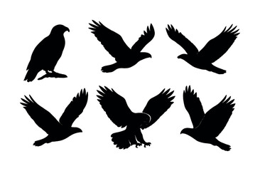 Obraz premium Silhouette of birds in various flight positions