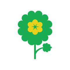 Alchemilla ladys mantle botanical vector art illustration