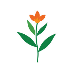 Butterfly weed flower botanical vector art illustration