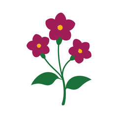 Calibrachoa flower botanical vector art illustration