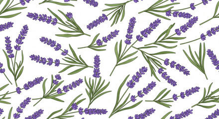 Fototapeta premium Floral Lavender Repeating Botanical Illustration
