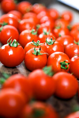 tomatoes on the vine