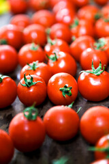 tomatoes on the vine
