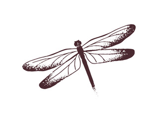 Sketch of retro tattoo of dragonfly in dotwork style. Vintage tatoo of damselfly. Stylish tatto with flying insect, gothic animal. Hand drawn outline isolated vector illustration on white background