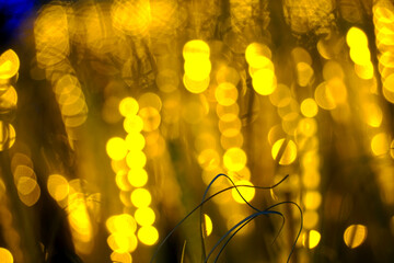 Bright yellow string lights are used to decorate things like Christmas trees around presents.
