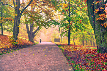 park in fall