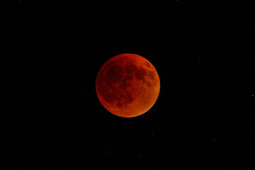 Fototapeta premium Lunar eclipse – Blood Moon