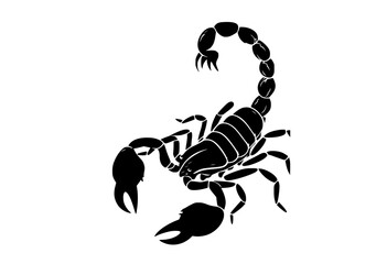 a black and white silhouette of a scorpionblack, claw, design, illustration, image, logo, profile, scorpion, sign, symbol 