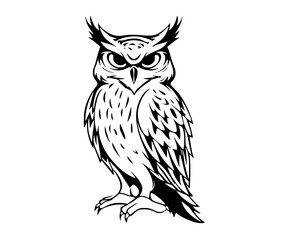 a stylized drawing of an owl with an expressive faceblack, illustration, owl, white 