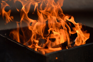Obraz premium burning woods on open fire background