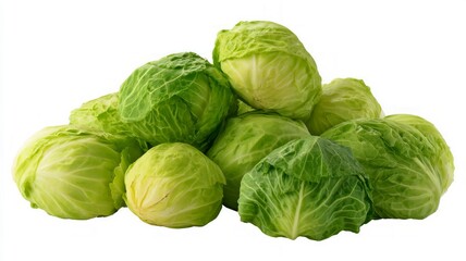 Fototapeta premium Vibrant green cabbages on white background. Artificial intelligence image