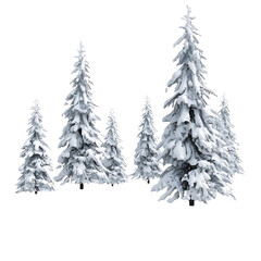 Blue cardinal bird in flight with pine branches isolated on transparent background