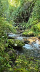 Obraz premium A breathtaking waterfall cascading through lush greenery, surrounded by forest and rocks, capturing the beauty and power of untouched nature.