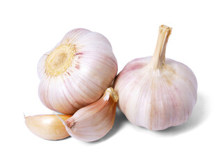 Garlic bulb isolated on white background. Selective Focus