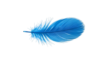 Blue feathery texture glows on black, offering contrast for graphic design, social media or creative projects.