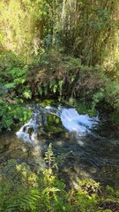 Fototapeta premium Beautiful Saltos Ojos del Huishue waterfall in southern Chile, surrounded by lush green forest and rugged rocks, a stunning natural escape.