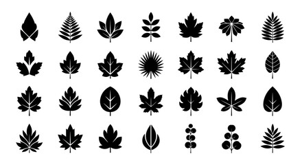 Collection of Various Stylized Black Leaf Icons on White Background