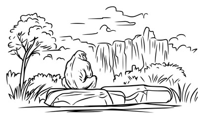 Quiet gorilla resting on rock in cliff‑bordered savanna – hand‑drawn wildlife scene illustration
