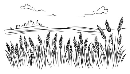 Golden wheat ears swaying in summer breeze across endless farmland – fertile grain field line drawing for rural design