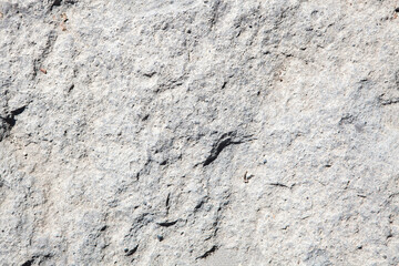 Texture of stone. Background and texture for design. High quality photo