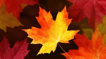 Autumn leaves showcasing vibrant colors