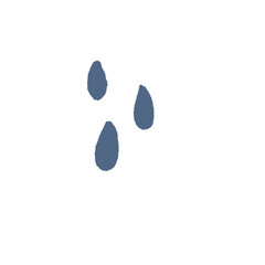 An illustration of three blue-gray raindrops or tears in a simple, teardrop shape. The image is drawn in a soft, minimalist style.