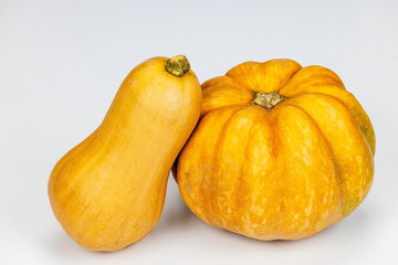 Zucche di diverse dimensioni su sfondo bianco