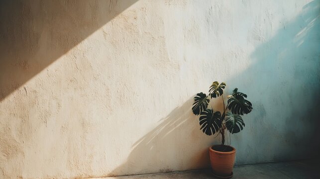 Closeup of a lush monstera plant in a textured clay pot against a plain textured wall with dappled sunlight casting intricate leaf shadows and ample copy space