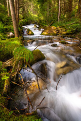 waterfall in the forest